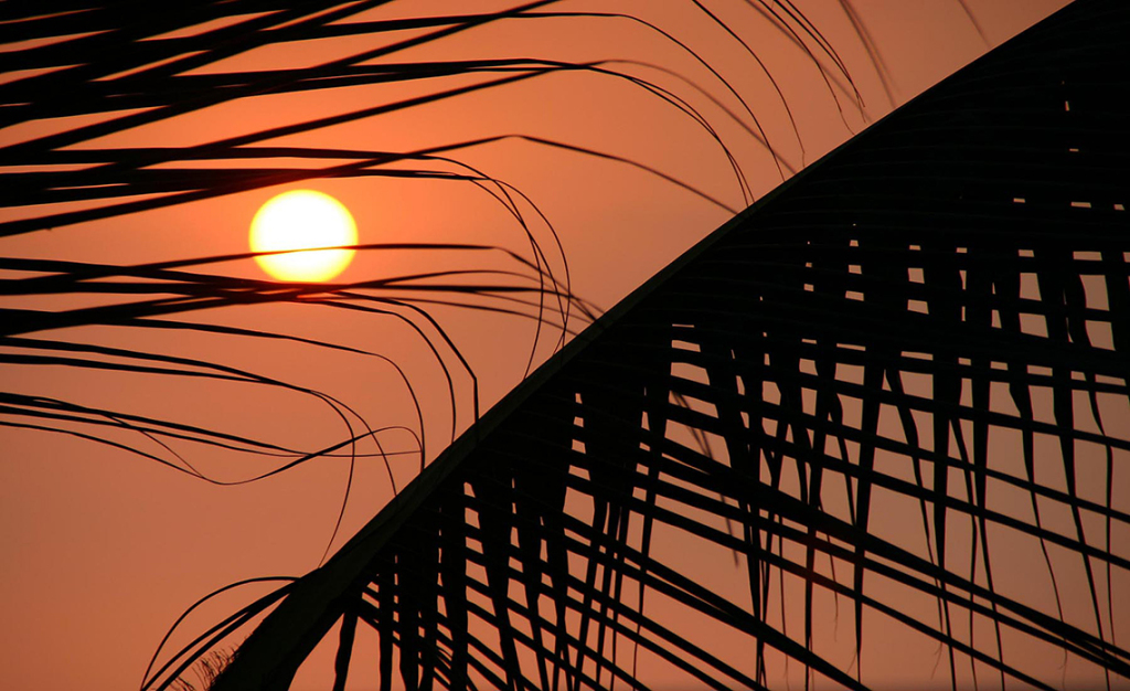 Sunset La Pescadore Puerto Vallarta Jalisco © Heather Hess