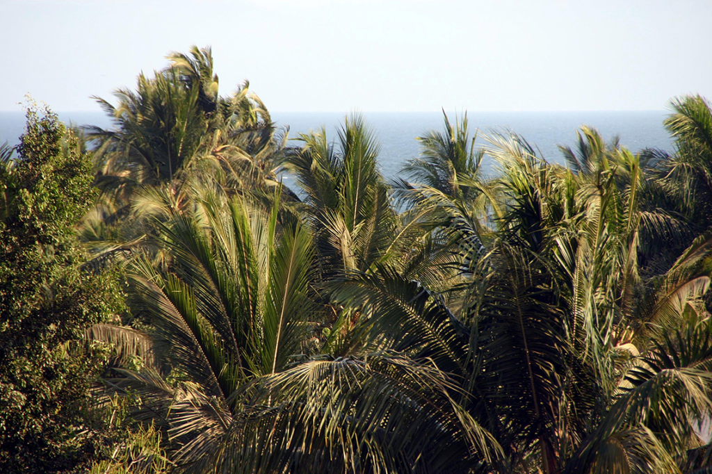 Bucerias Mexico - Refreshing Windy Afternoon © Heather Hess
